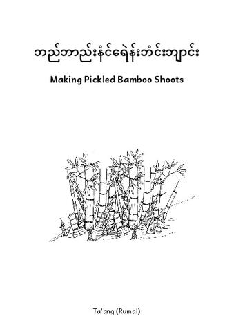 ဘည်ဘာည်းနံင်ရေဲန်းဘံင်းဘျာင်း-Ta'ang (Rumai).pdf