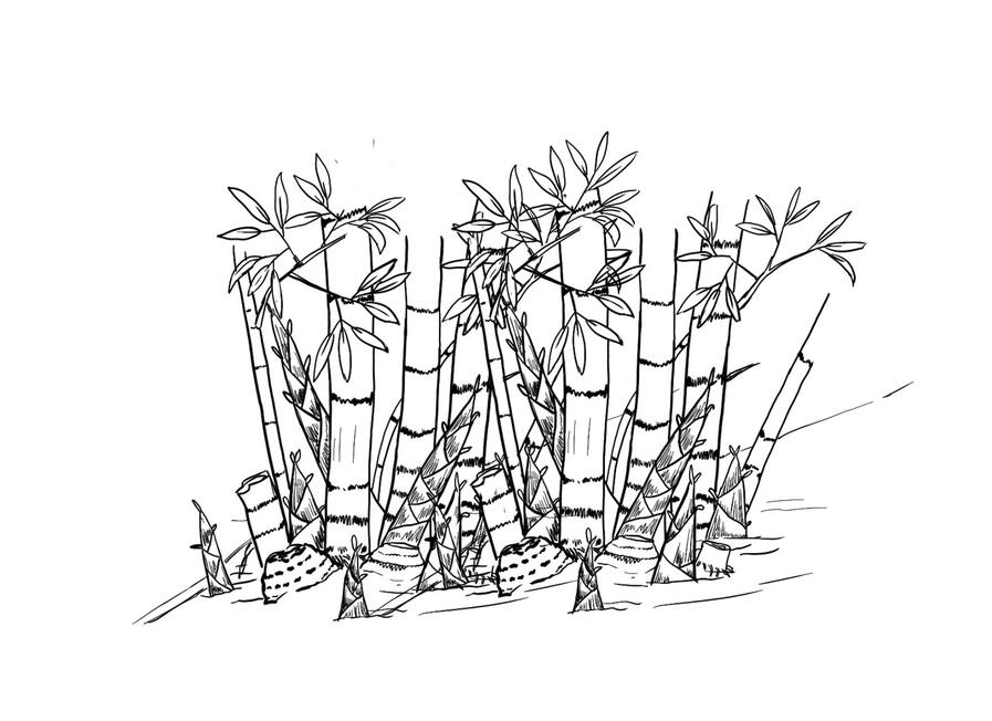 Ta'ang (Rumai) Stories